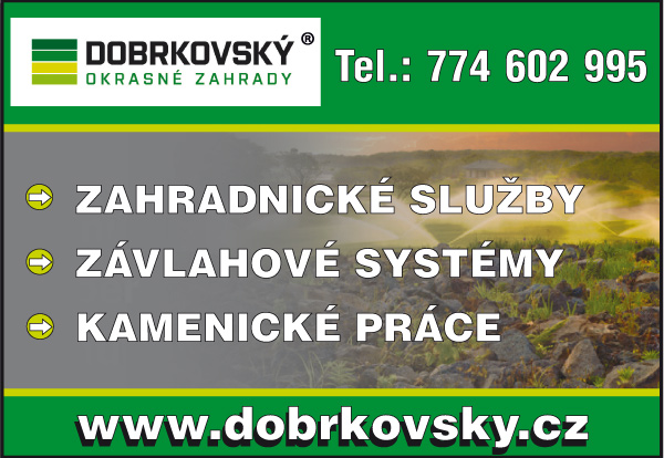 grafick� inzer�t